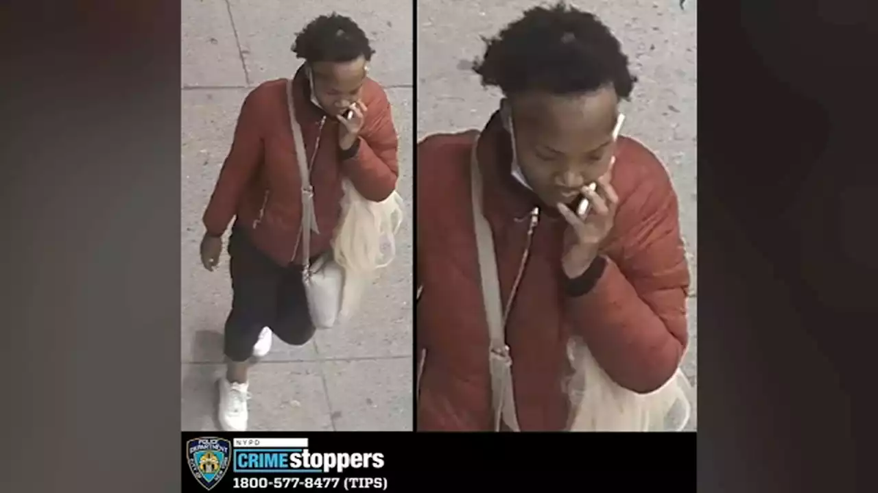 Police seek suspect accused of stabbing woman pushing stroller with daughter inside in Brooklyn