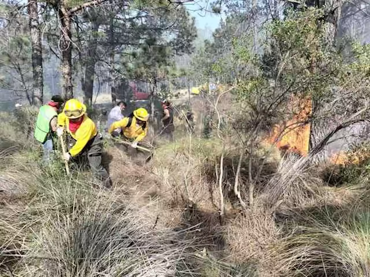 Ola de calor desata 3 incendios en centro y sur de Veracruz, reporta PC