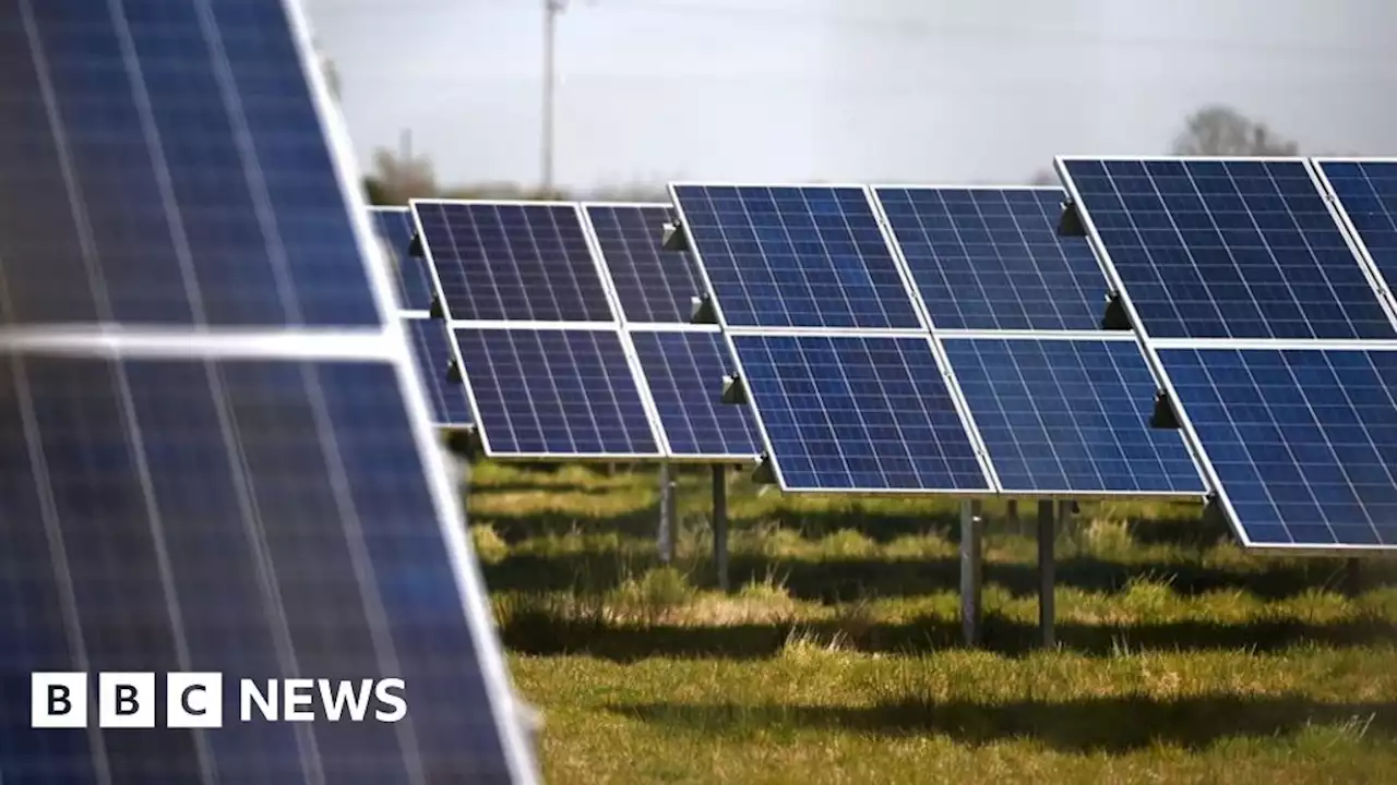 Solar farm in Essex rejected over green belt and reserve concerns