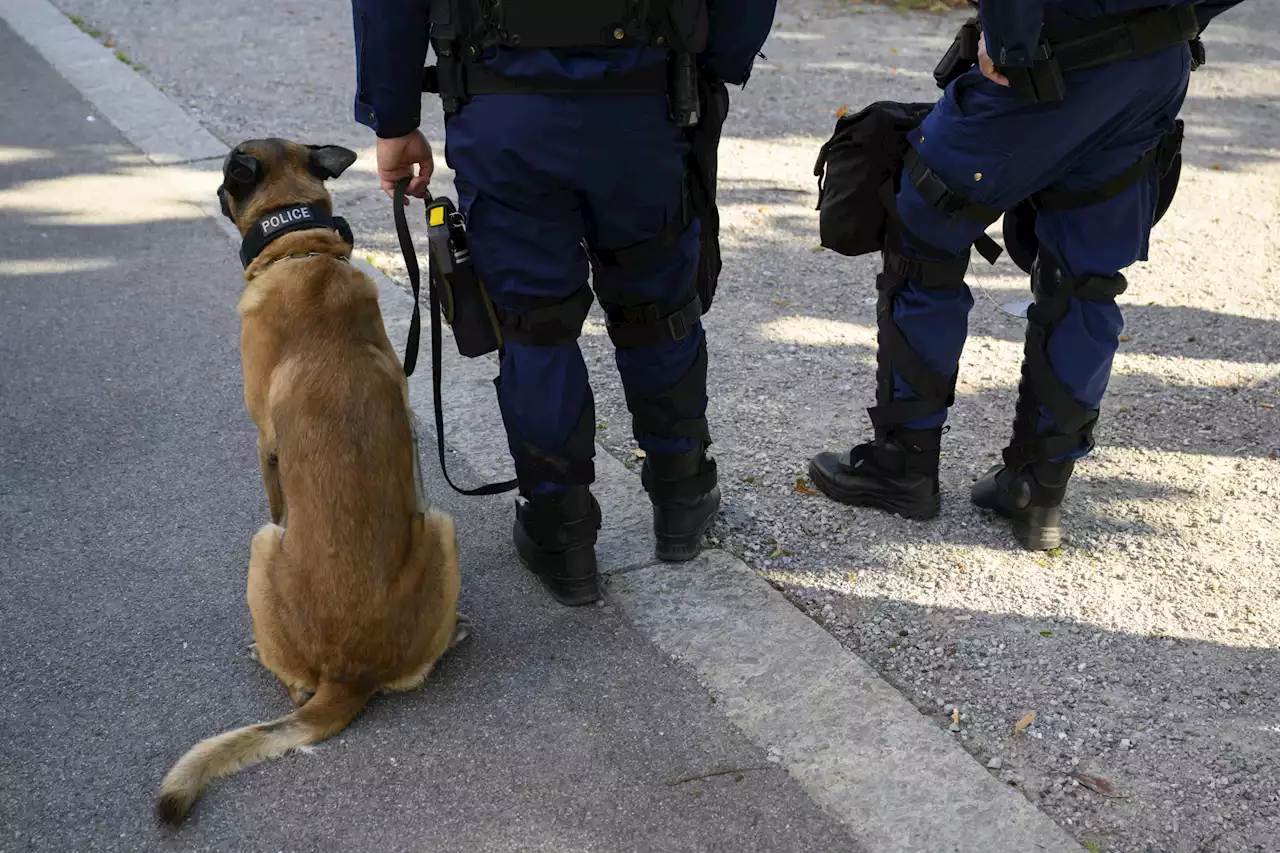 Kurioser Berner Fall – Nach Biss durch Diensthund: Frau zeigt Polizei an