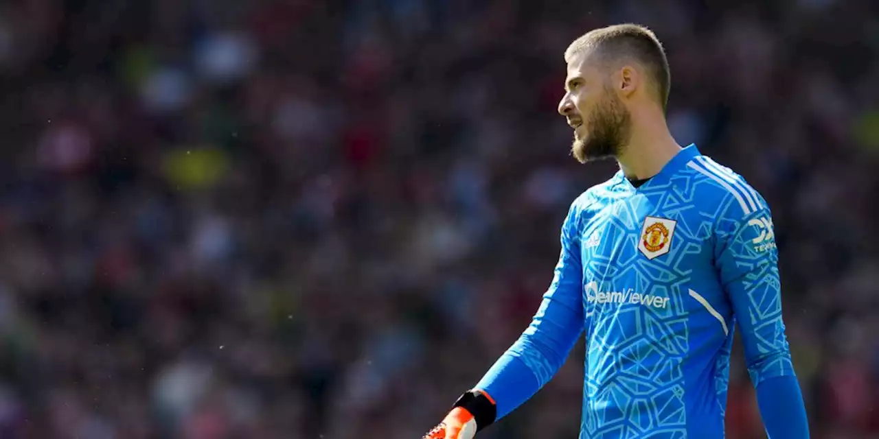 5 Kiper Top Kandidat Pengganti David de Gea di Manchester United - Bola.net