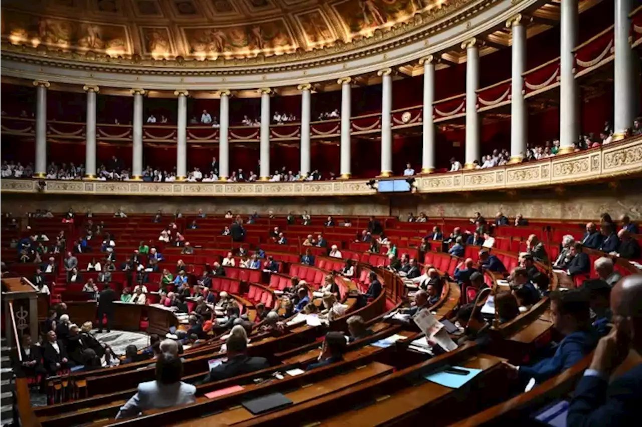 Le Conseil de l'Europe \u00e9pingle l'article 49.3 de la Constitution fran\u00e7aise