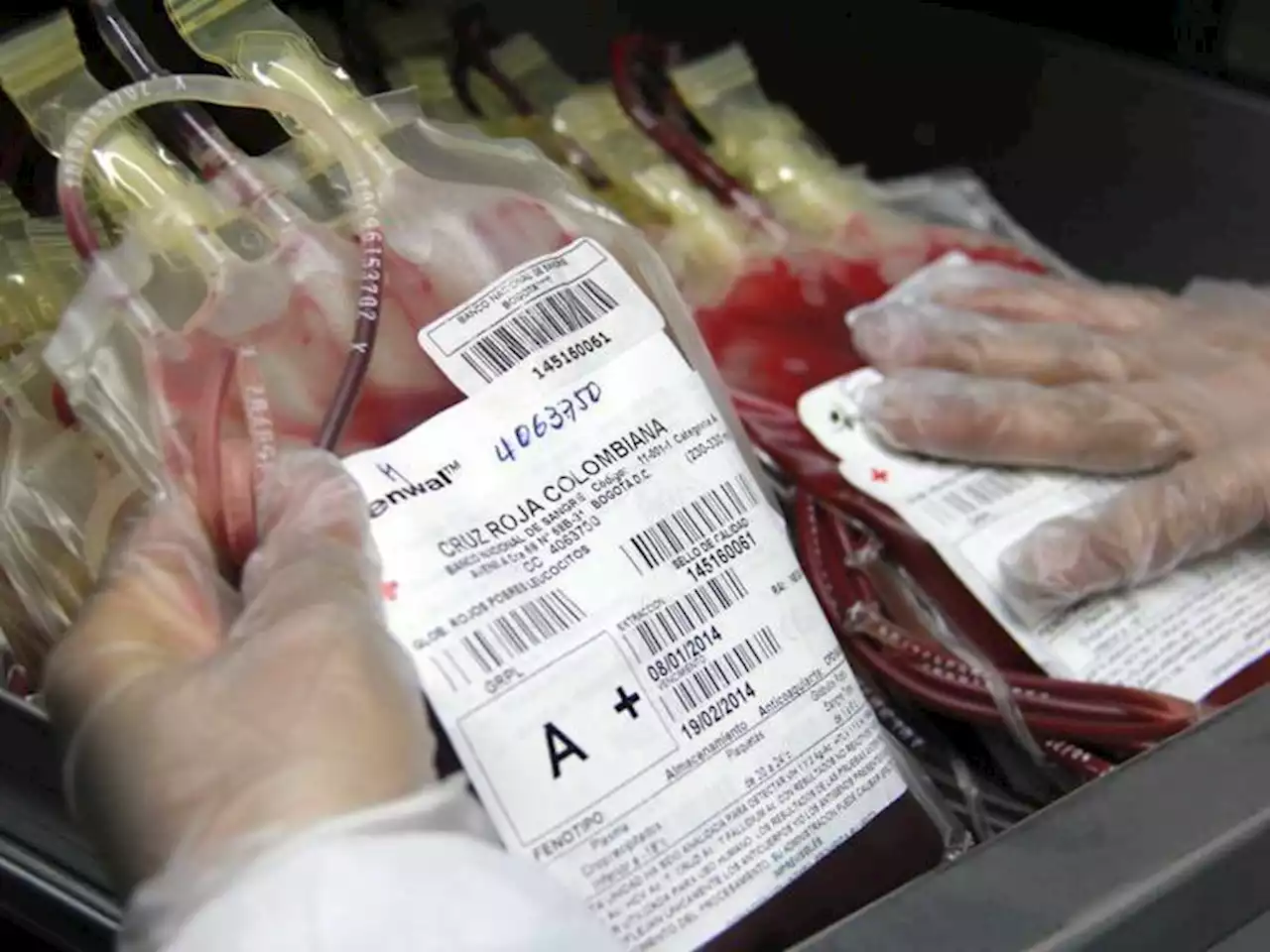 En Quindío advierten de reducción de donantes de sangre lo que dificulta el abastecimiento