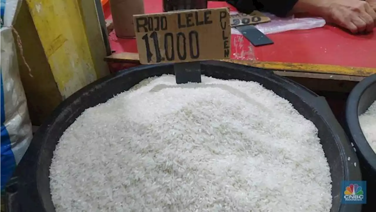 Beras Harus Dicuci Sebelum Dimasak? Ini Penjelasan Sains