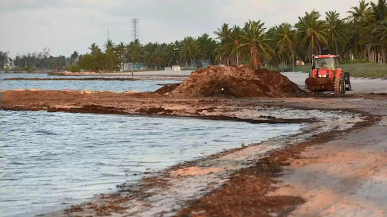 Nah lho! Menteri ESDM Sebut Pasir Laut Harusnya Tak Diekspor