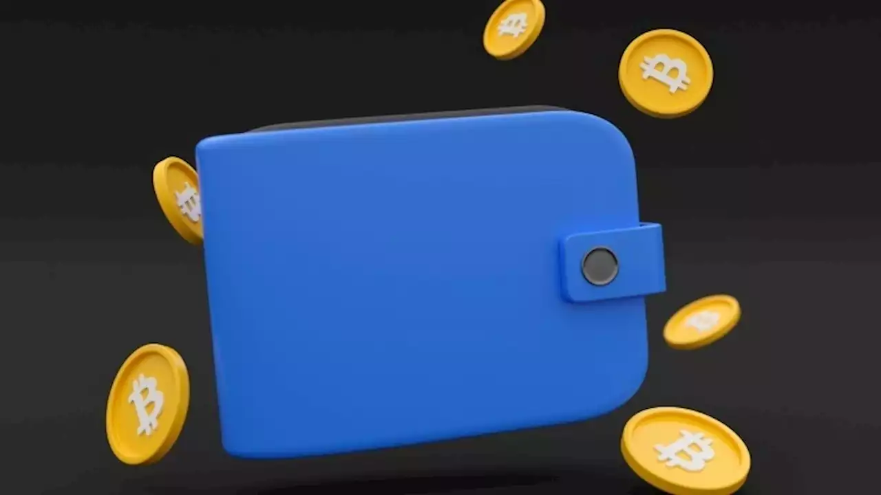 Overview of Crypto Wallet Trackers | CoinMarketCap