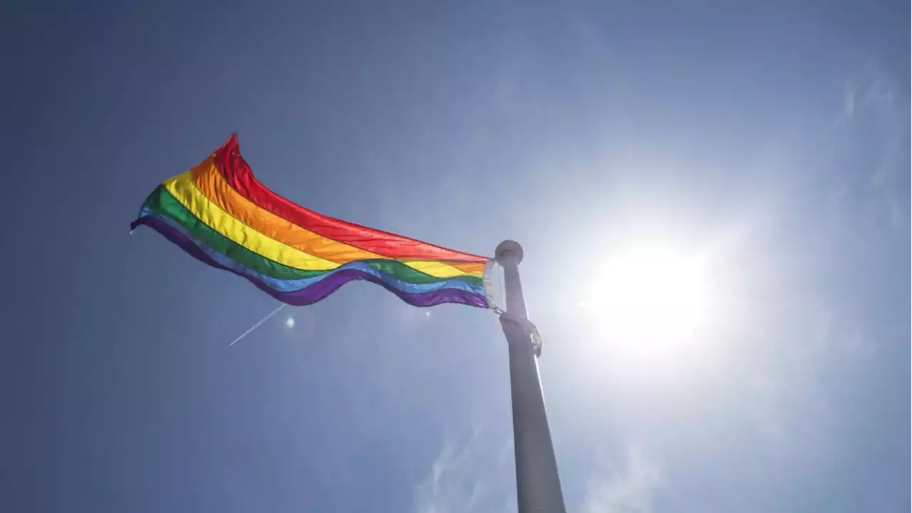 'I deserve to feel safe': York Catholic District Board students call for safety after alleged violence erupts at LGBTQ2S+ walkout