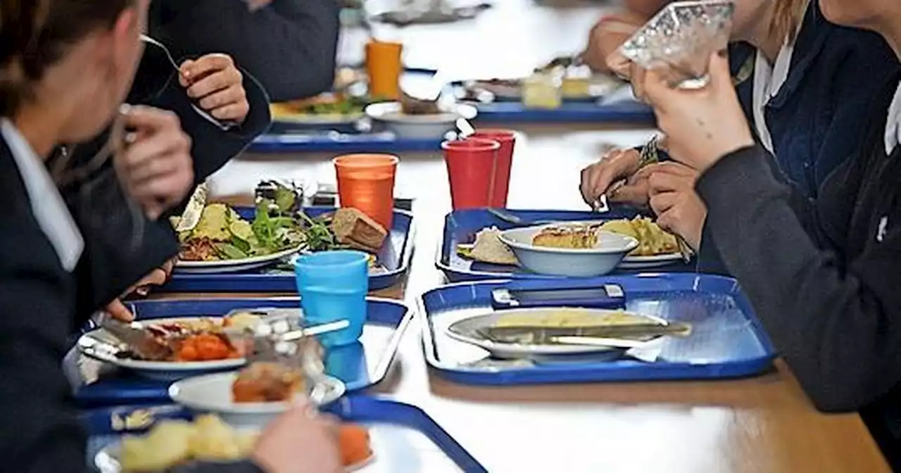 Scottish Government urged to increase free school meals threshold by charity