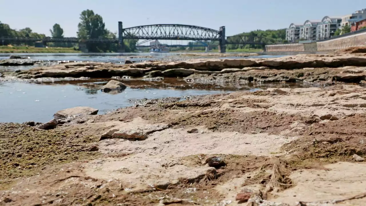 Deutschland: Sorge vor Wasserknappheit wächst – Landkreise regulieren schon jetzt Verbrauch