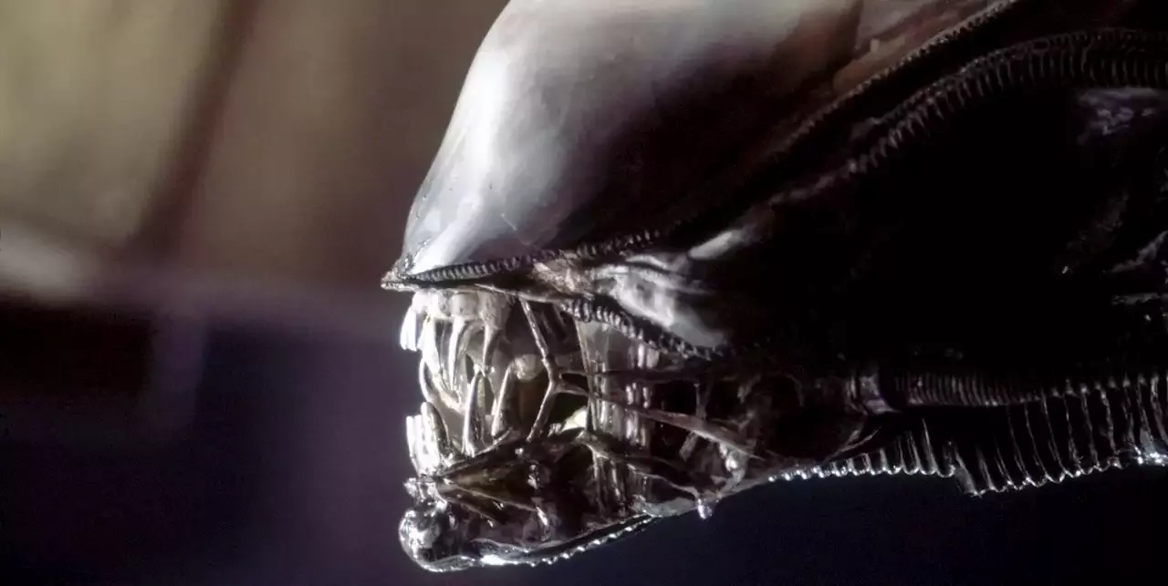 New Alien movie confirms 2024 release date