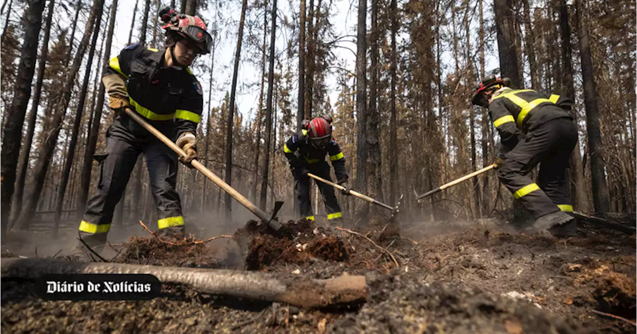 140 operacionais portugueses partiu para o combate aos fogos no Canadá