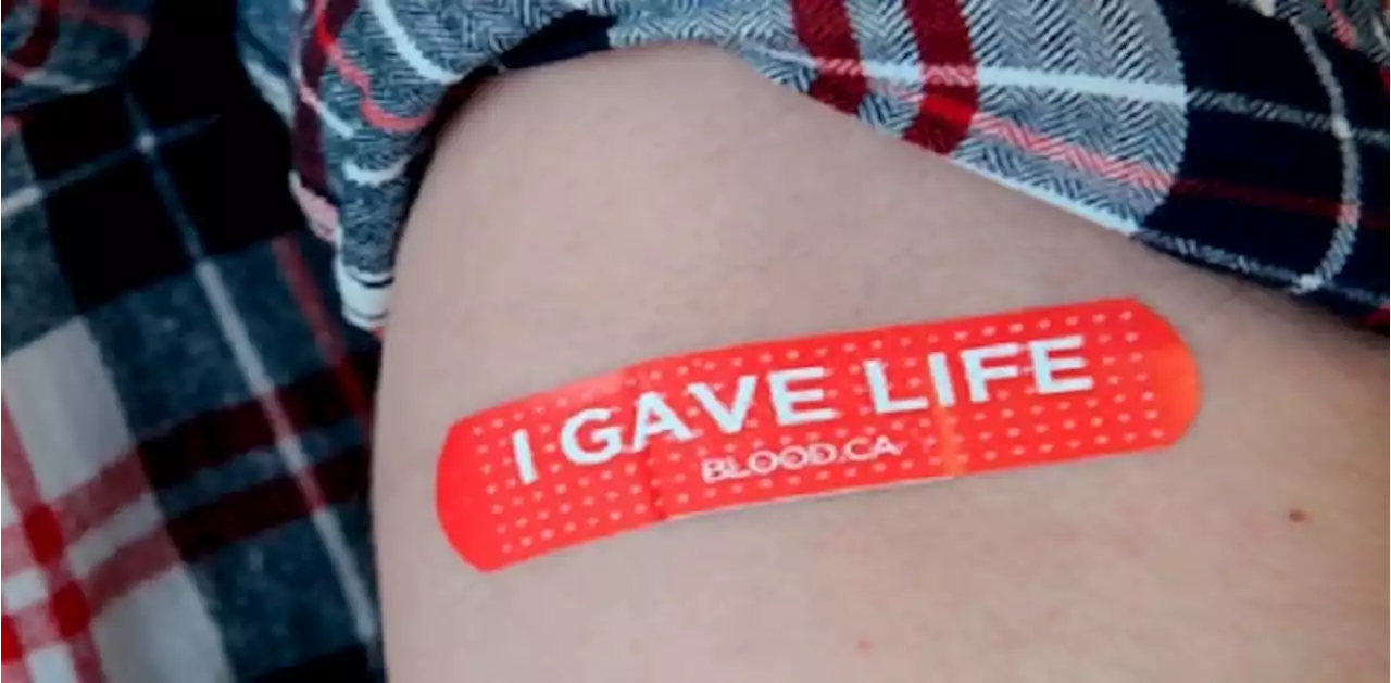 Canadian Blood Services looking to fill summer donor appointments in Oshawa