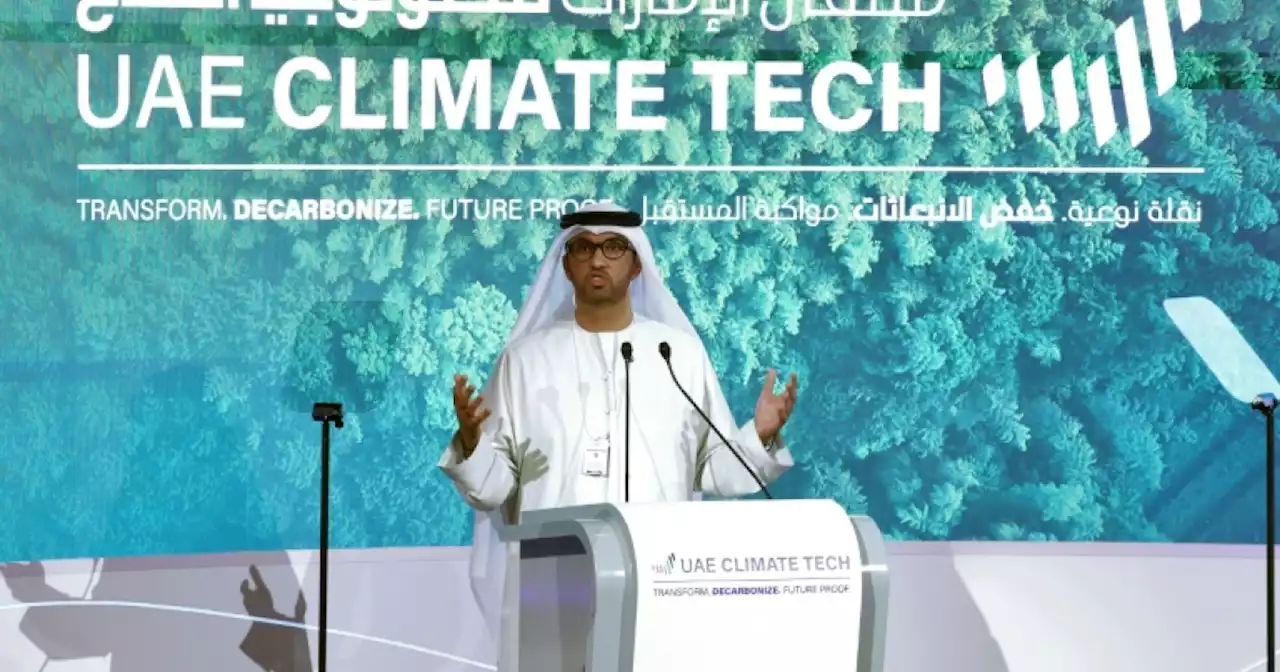 Fake Twitter 'blondes' promote UAE climate summit