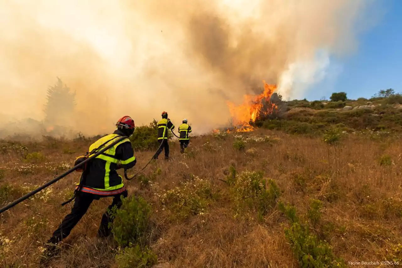 Interpellation d'un homme soupçonné du gigantesque incendie d'Opoul en juin 2022, annonce le procureur de Perpignan