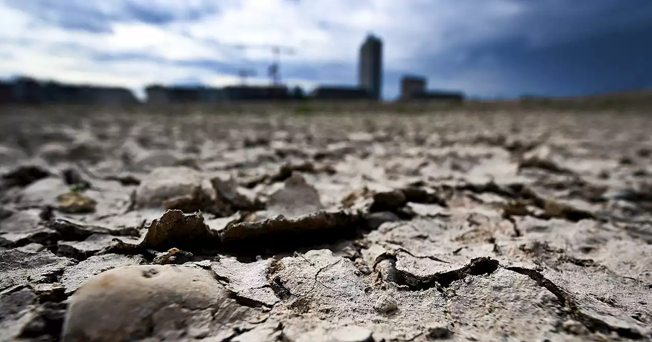 L'allarme dell'Ue: 'In estate nel Sud Europa clima pericoloso per la salute umana'