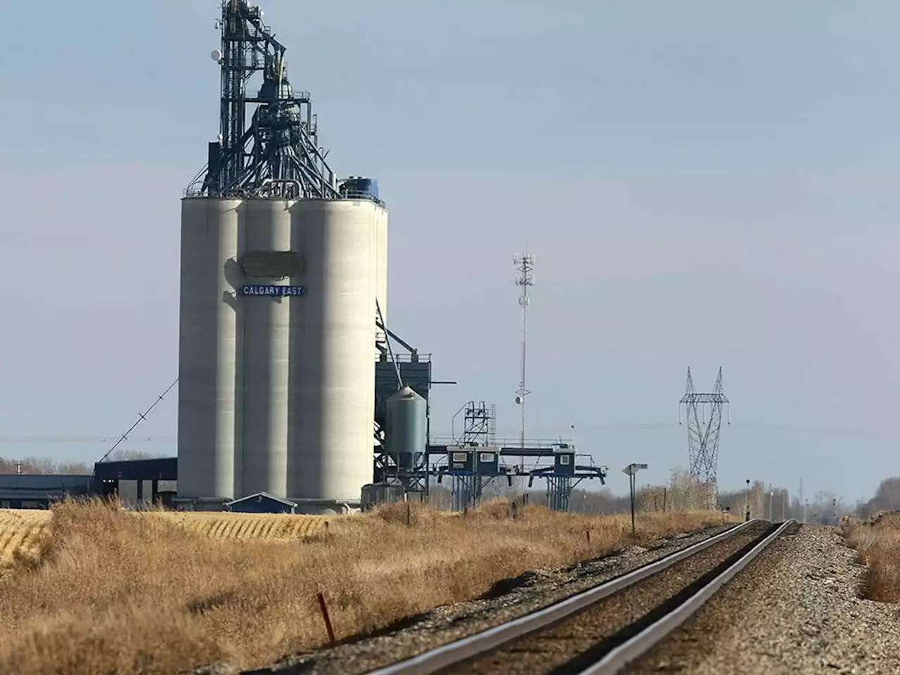 Bunge to buy Viterra for $8 billion to create global agricultural giant