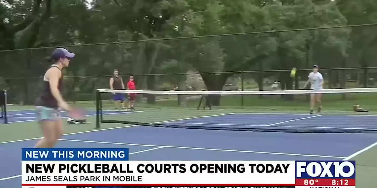 New pickleball courts opening at James Seals Park