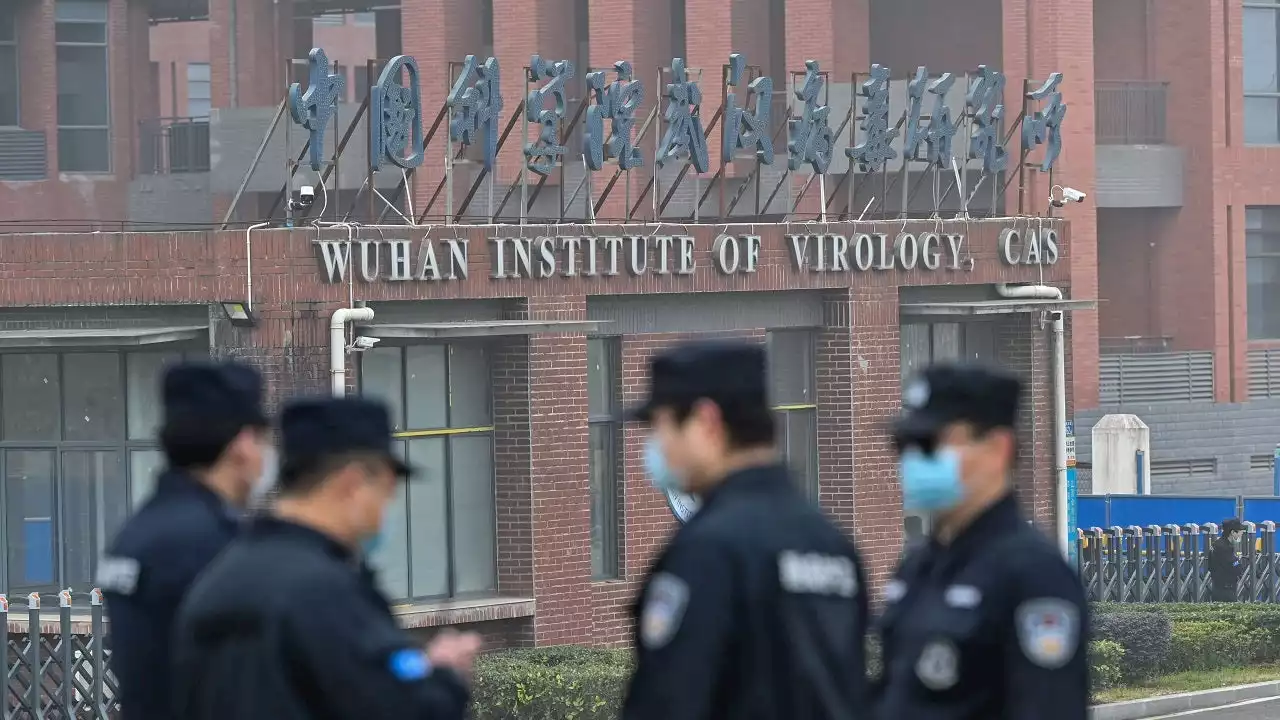 Wuhan lab scientists were first to catch COVID-19: report