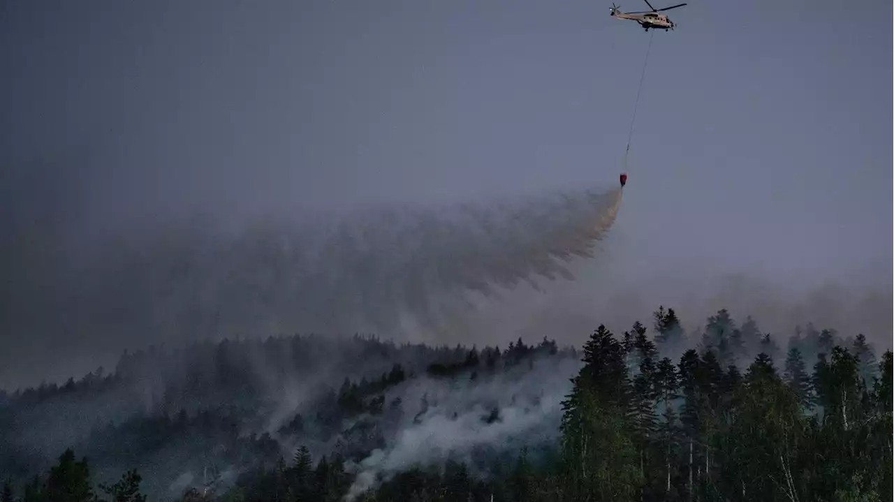 Vosges : 30 hectares de forêt détruits près d'Épinal, l'incendie est fixé