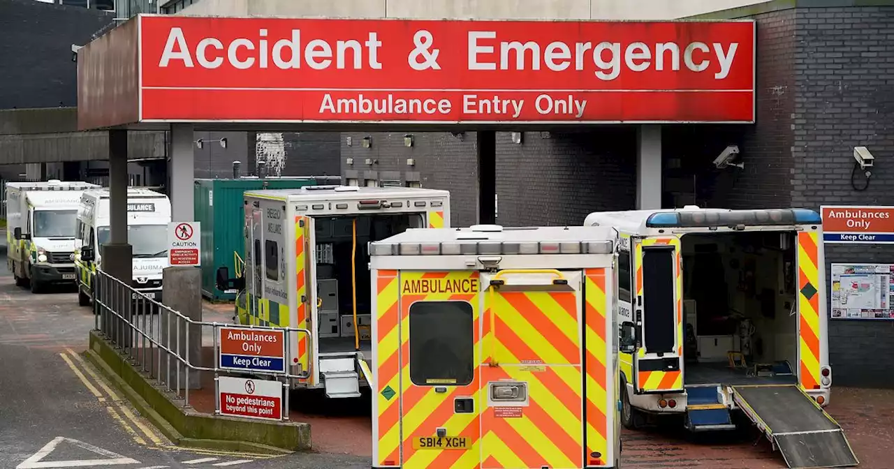 Two taken to hospital after Glasgow M8 motorway crash during rush hour