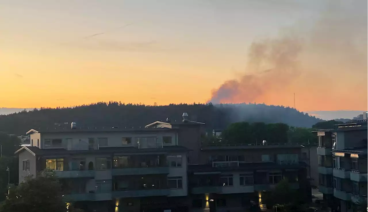 Skogsbrand i naturreservat i Mölndal