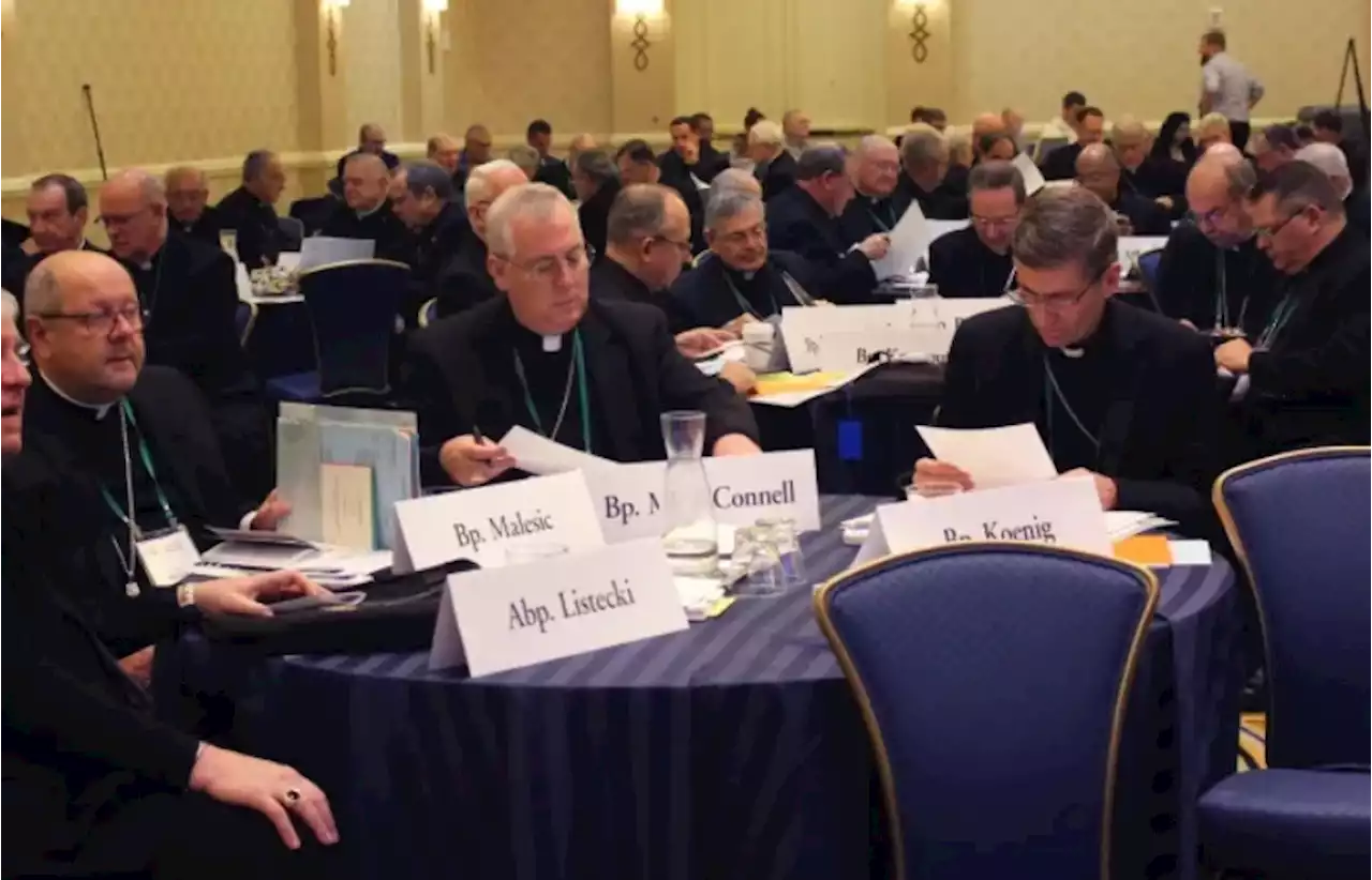 U.S. bishops to discuss health care, eucharistic revival, and more at spring meeting