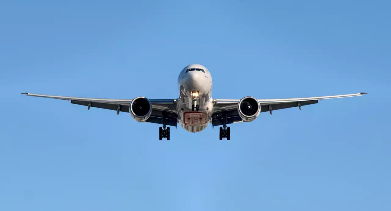 FAT activist Jae'lynn Chaney CONTINUES on demand for AIRLINES to increase SEAT SIZE, receiving 20,000 SIGNATURES