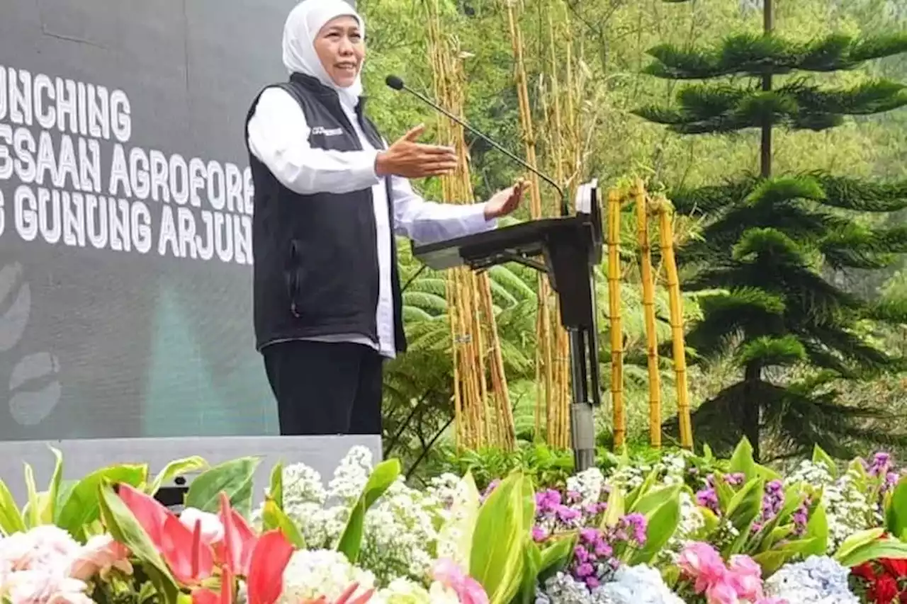 Hebat, Jawa Timur Terus Bangun Desa Terpadu Hingga Tembus Pasar International - Jawa Pos