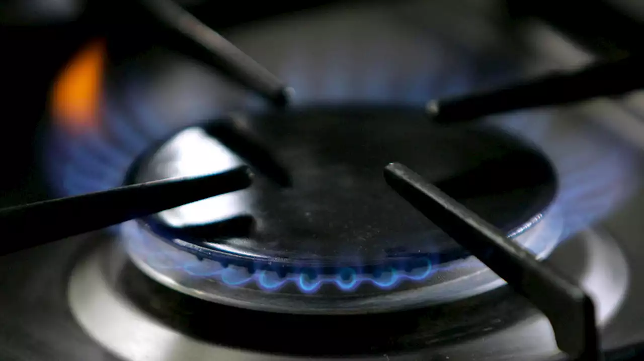 New study shows half of gas stove models won't comply with gas stove regulation