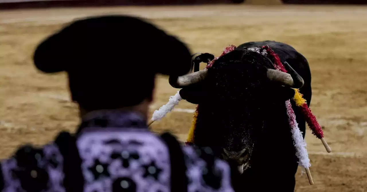 Proyecto que prohíbe las corridas de toro fue aprobado en primer debate