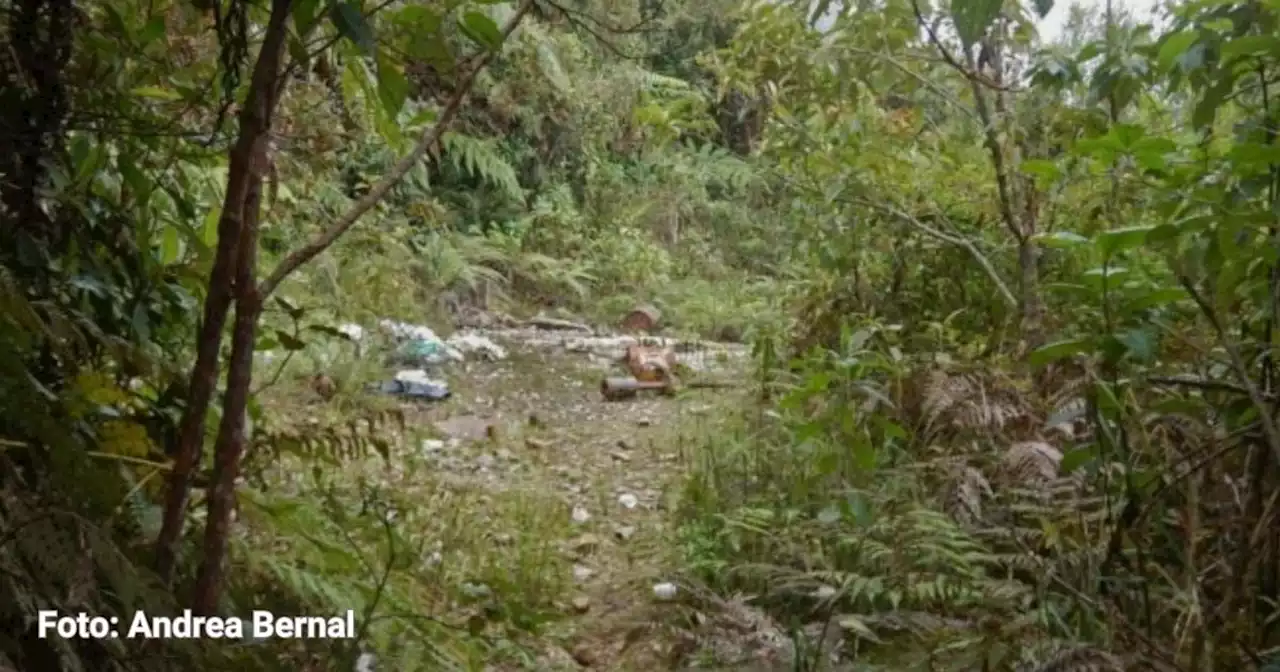 La minería ilegal azota al Parque Nacional Farallones de Cali