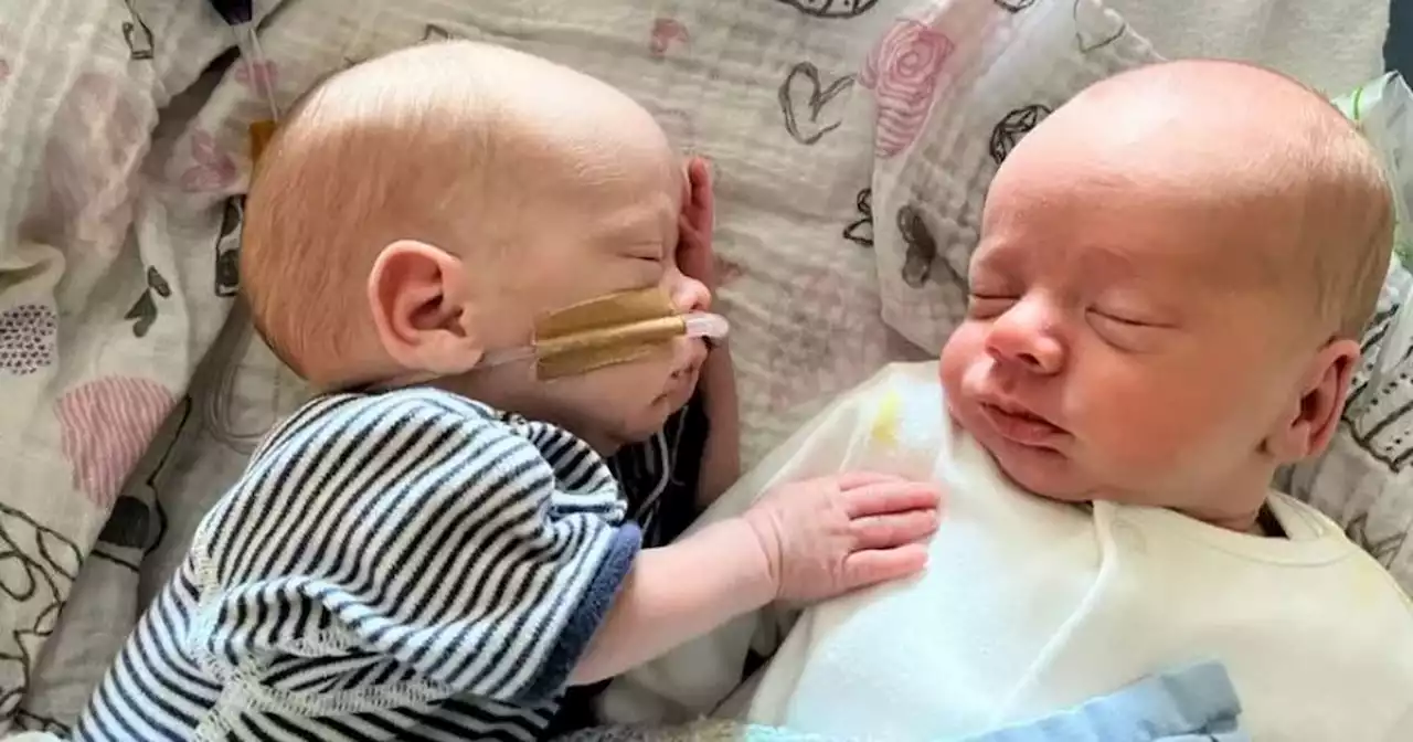 Twin due to be terminated to save his brother's life is born in a toilet bowl