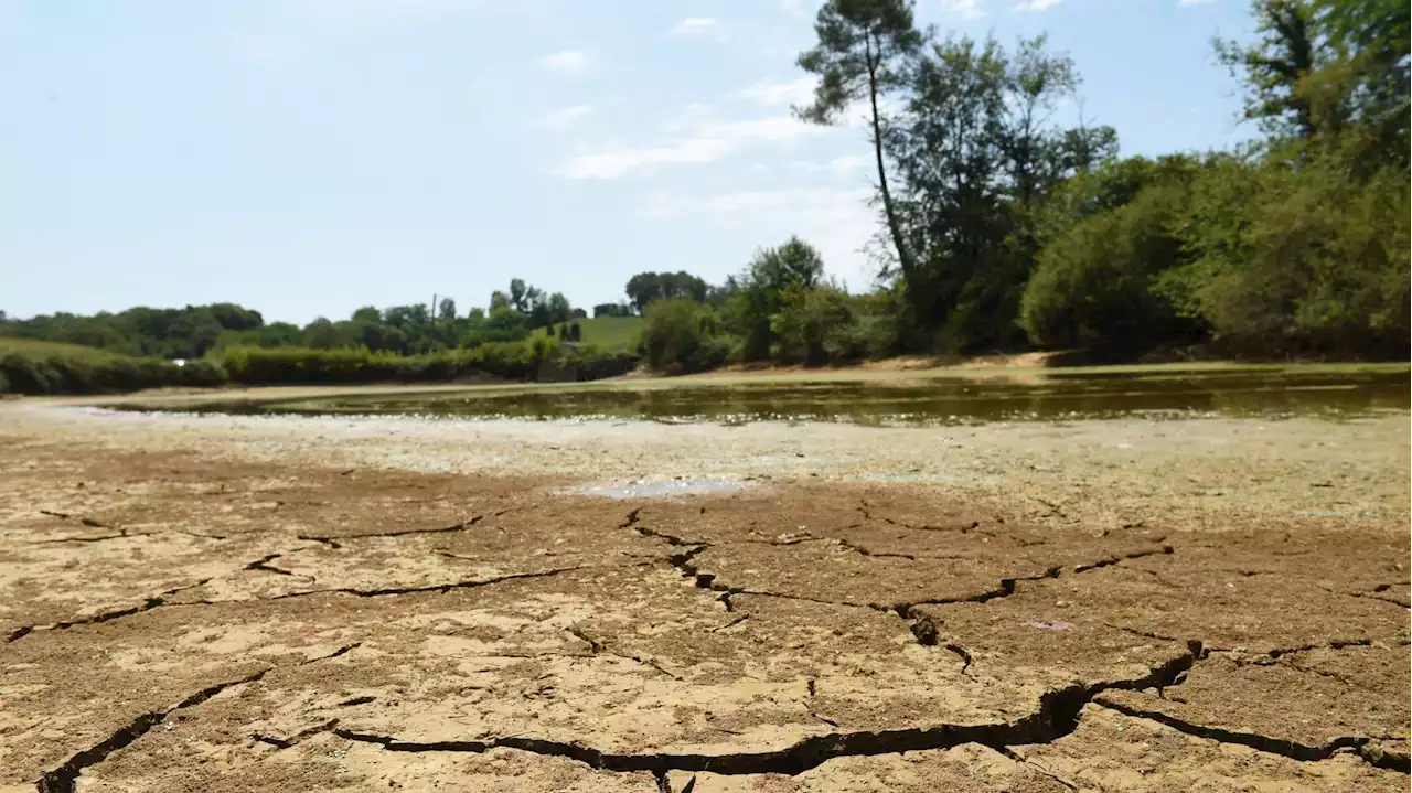 Les catastrophes météo ont tué près de 200 000 personnes en Europe depuis 1980