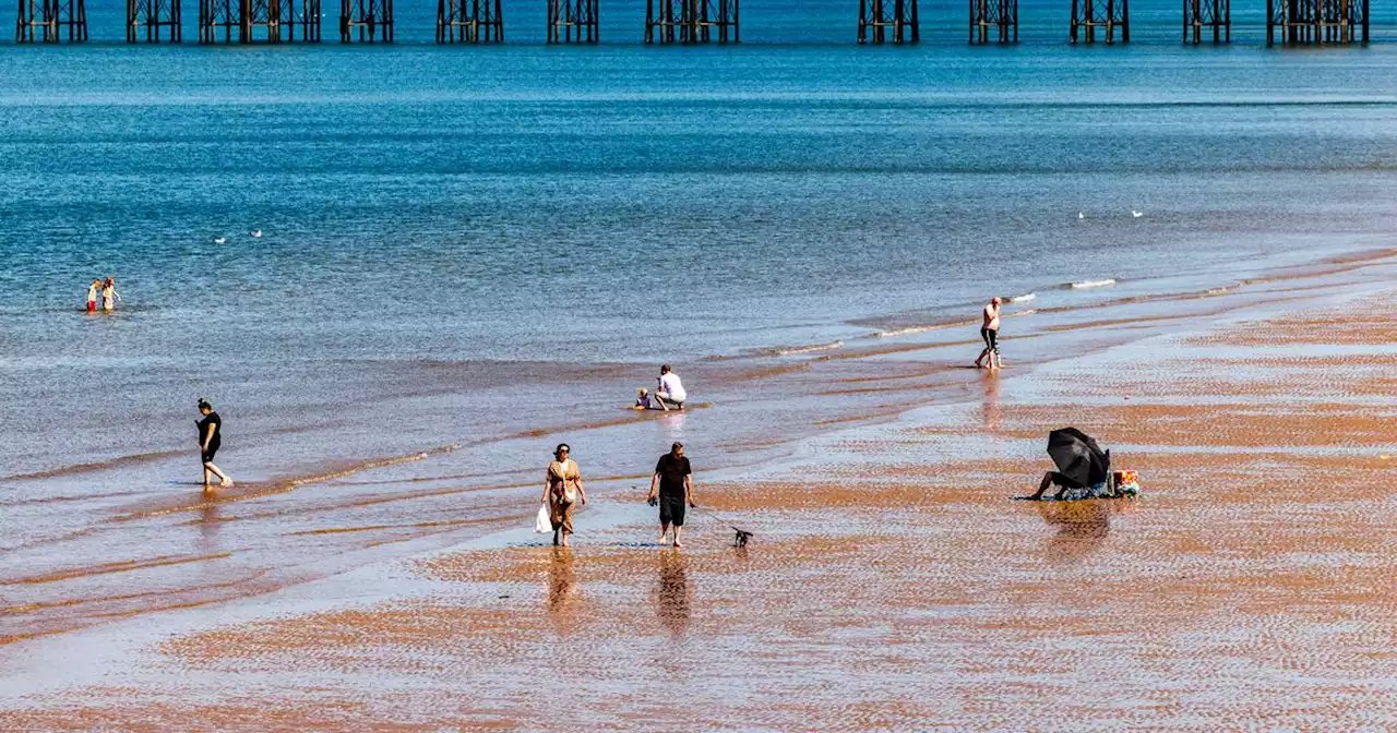 'Not enough signs' and 'disgusting smell' as swimmers oblivious to sewage leak