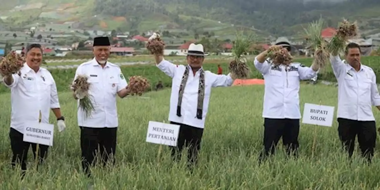 Antisipasi El Nino, Mentan SYL Tinjau Kawasan Sekaligus Panen Bawang Merah di Solok | merdeka.com