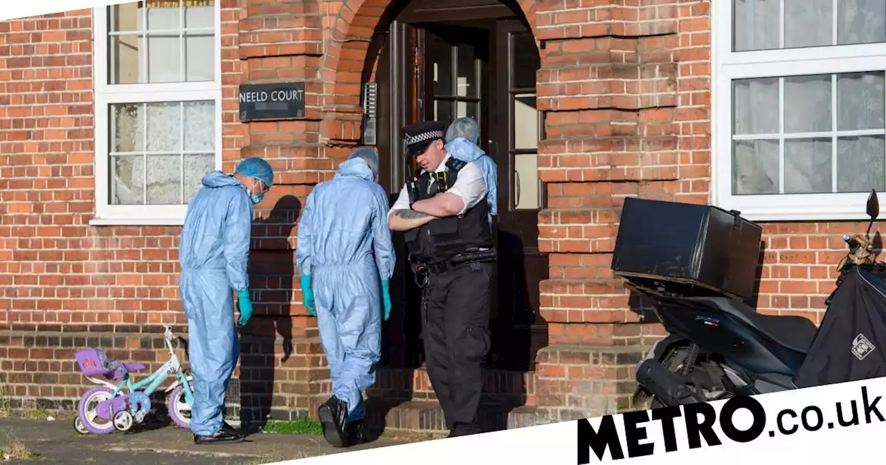 Three people arrested after woman stabbed to death in north London