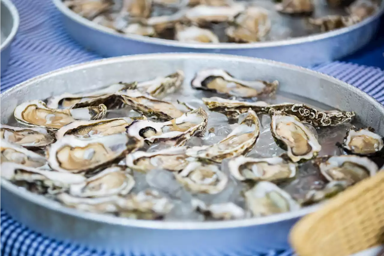 Man Dies After Eating Raw Oysters and Contracting Flesh-Eating Bacteria in Missouri