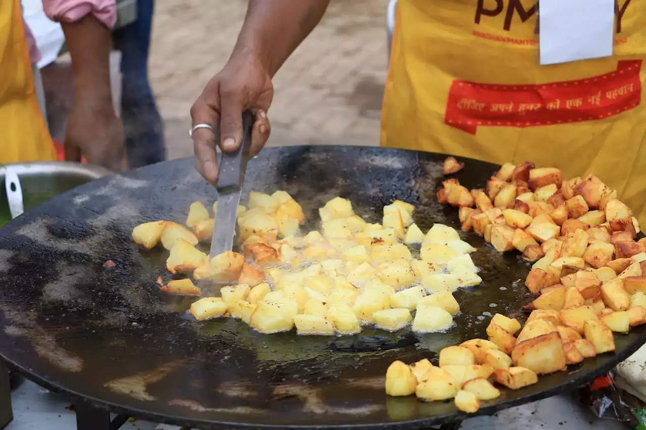 How does the Indian diet fit in with the EAT-Lancet Reference Diet?