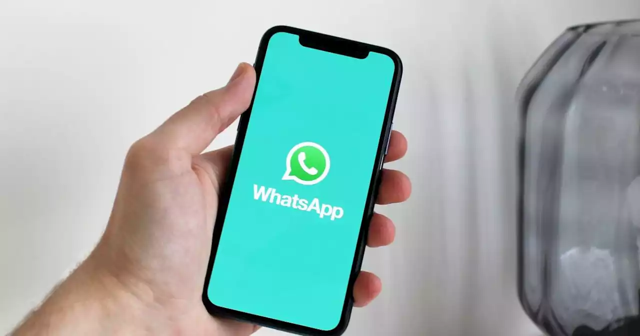 ¿Qué son los canales de WhatsApp y cómo puede utilizarlos?