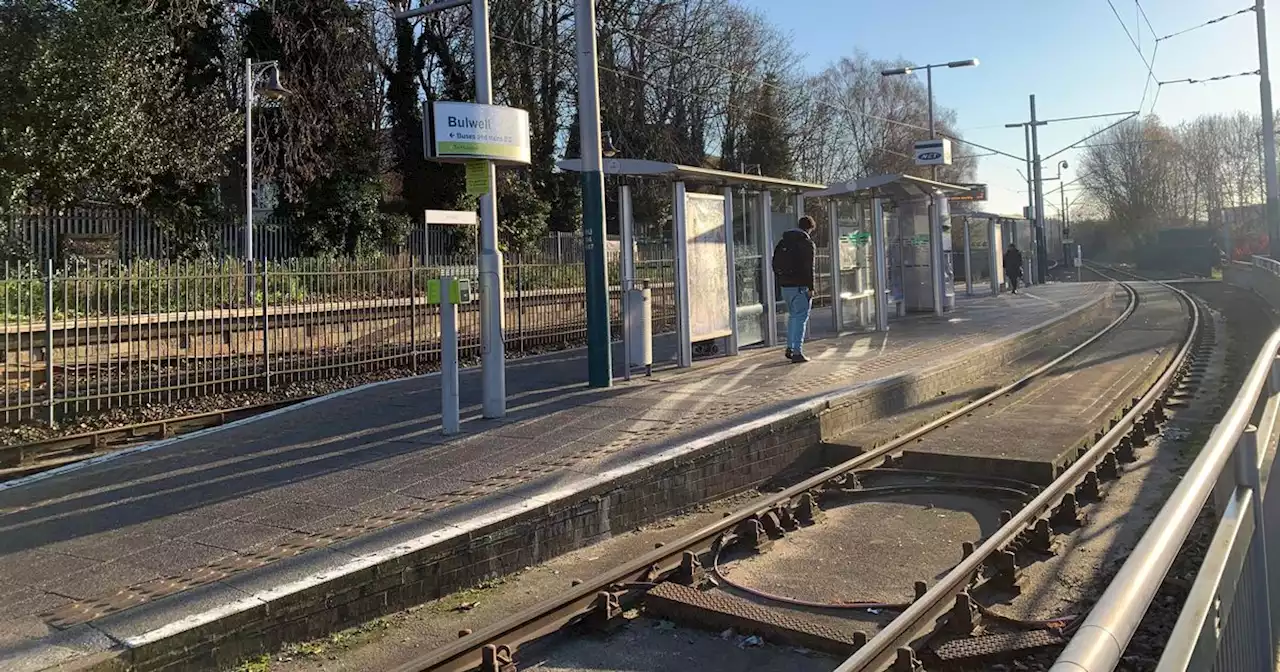 NET trams remain disrupted after carriage collided with pole