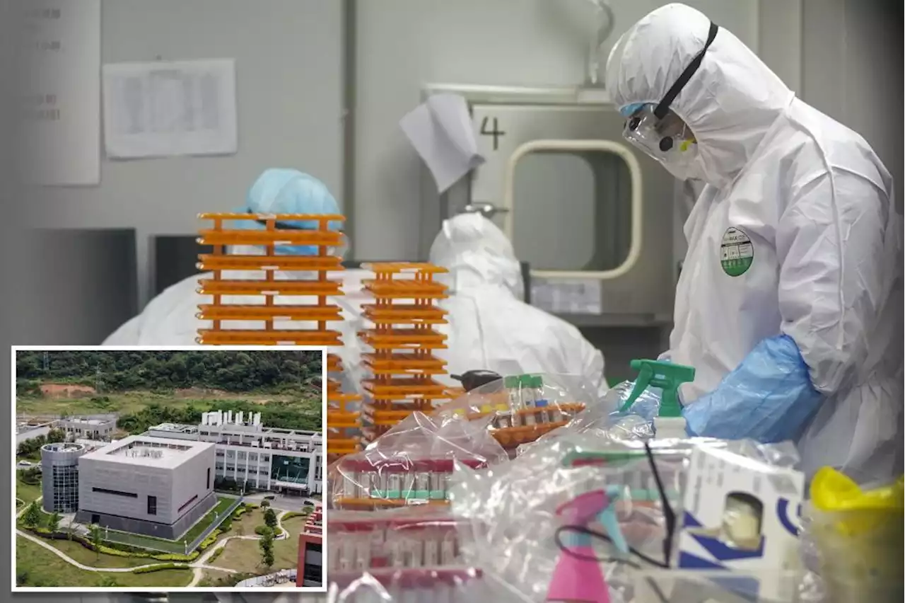 Wuhan lab scientists researching coronavirus were the first to contract COVID-19: report