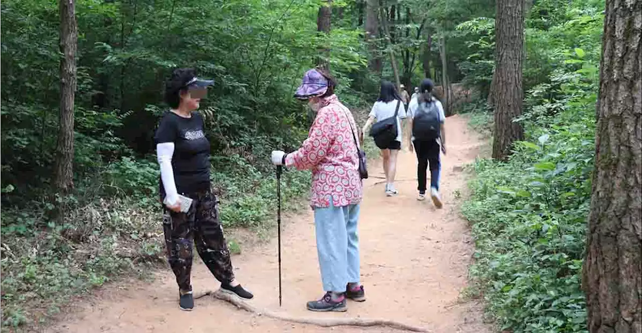 아파트 뒷산에 산책로 만든 의문의 주민, 누군지 찾아보니...