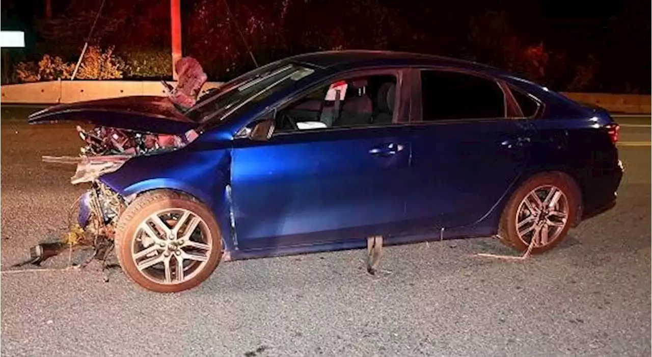 Fleeing driver hits officer, crashes car and injures dog