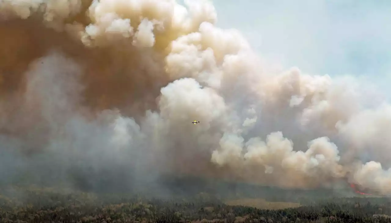 PolitiFact - How climate change is making wildfires worse