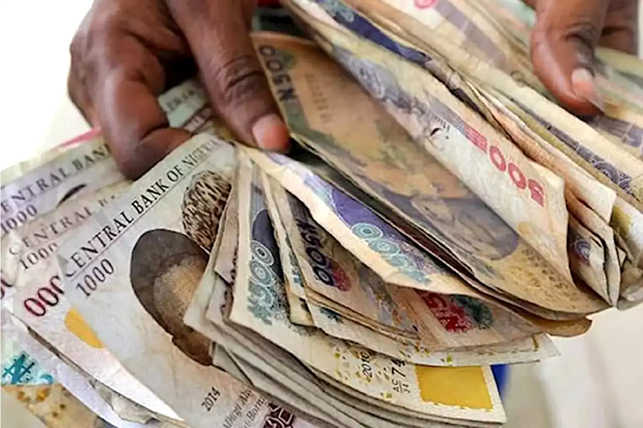 Naira records biggest fall as Nigeria eyes monetary policy reset