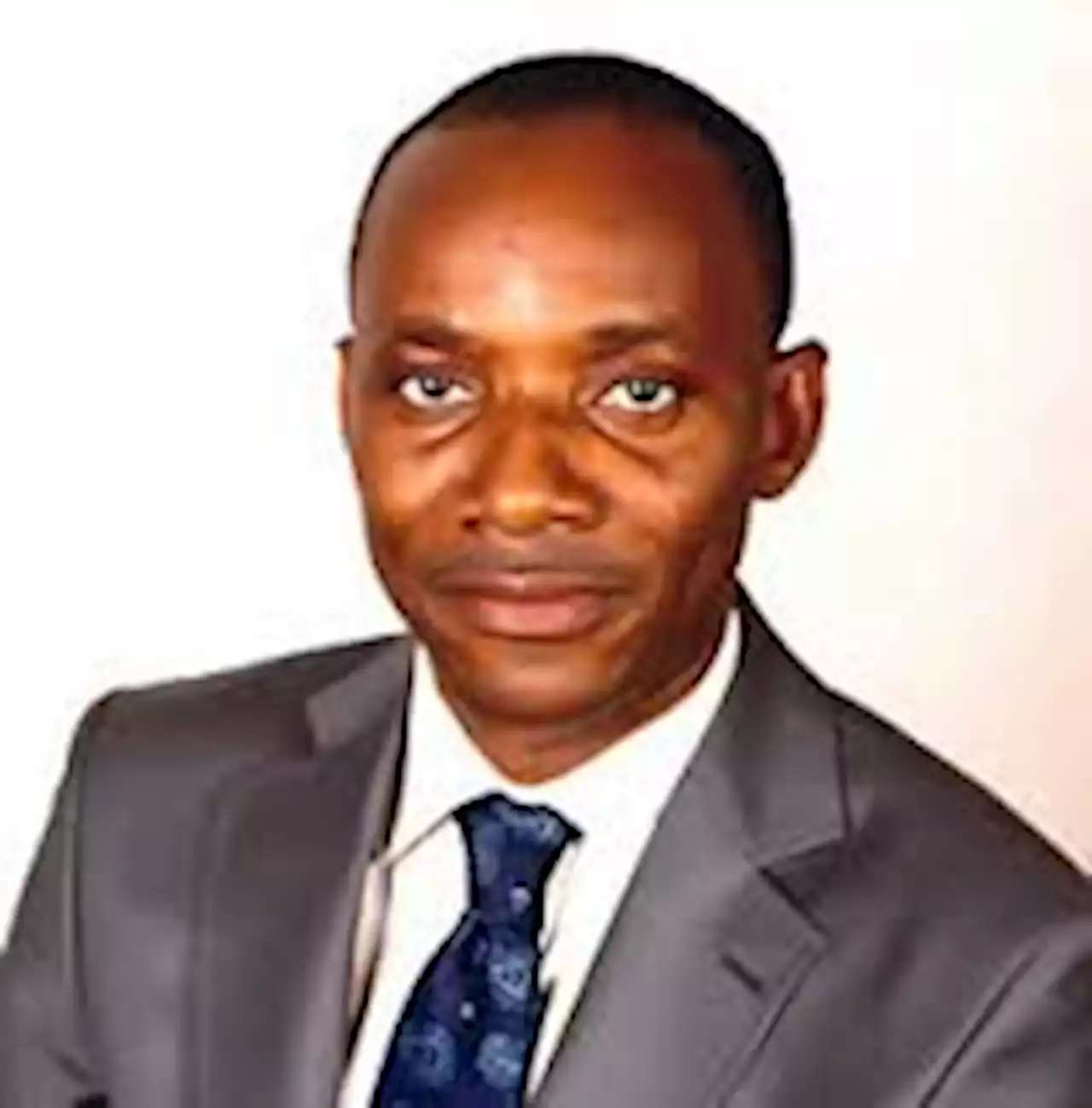 Subsidy removal and its discontents, By Sam Amadi