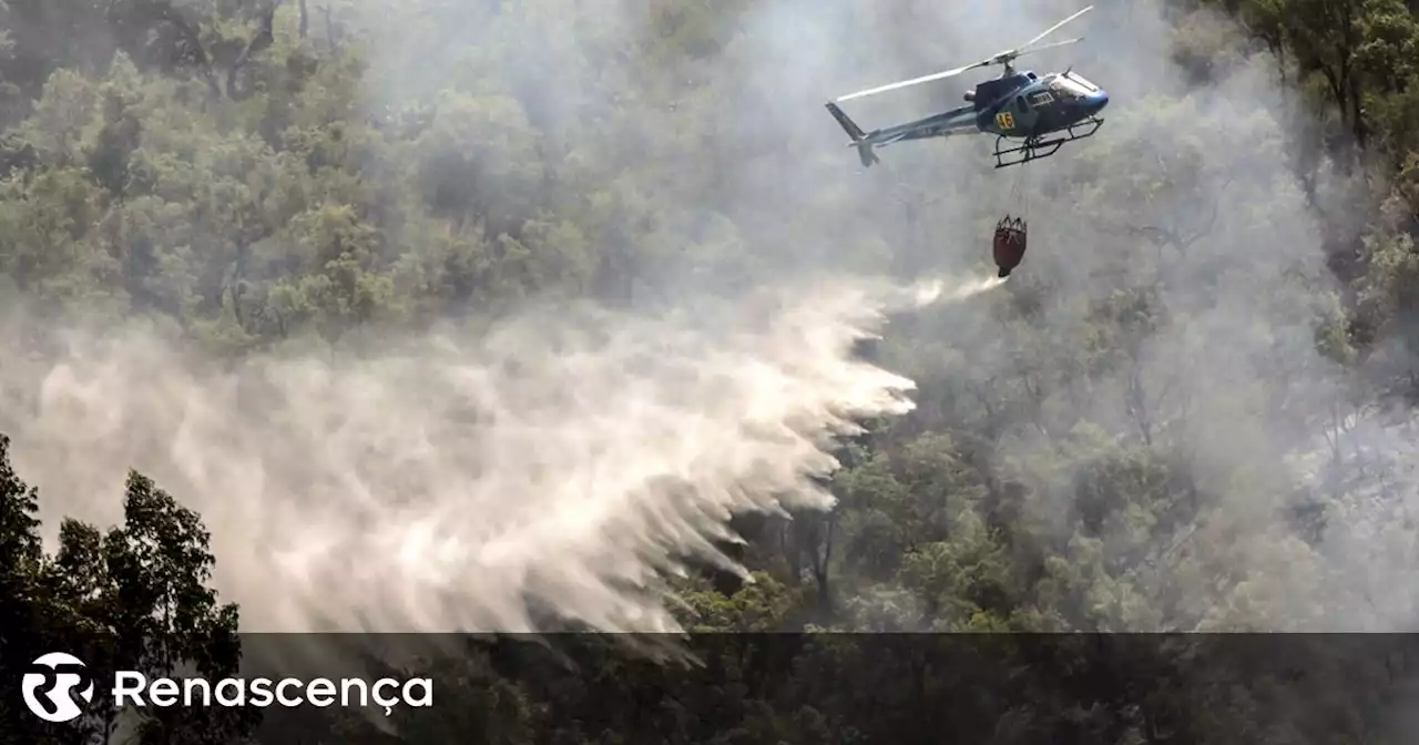 MAI garante: Portugal com mais meios financeiros para o combate a incêndios - Renascença