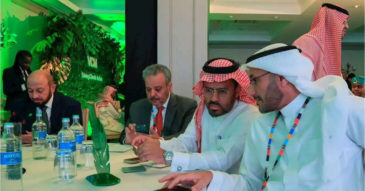 Saudi firms bid for 2 million tonnes of carbon credits in Kenya auction