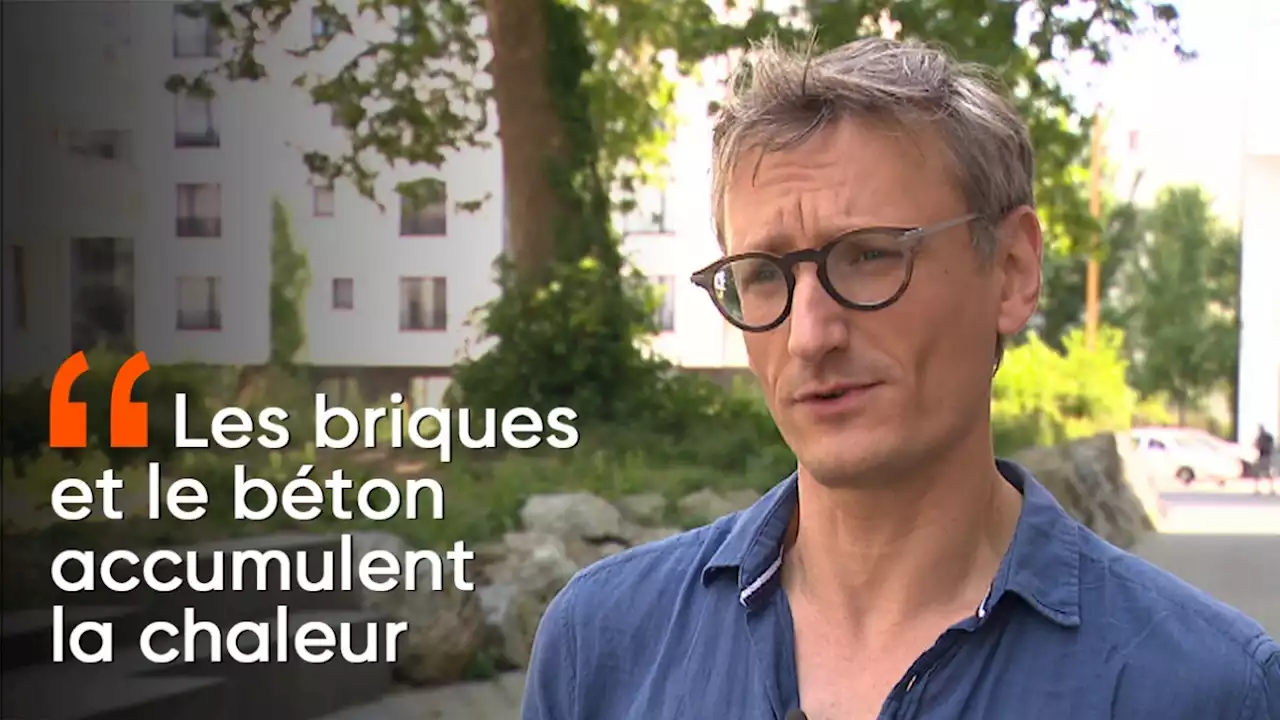 Les villes, transformées en îlots de chaleur, se réchauffent beaucoup plus vite que les zones rurales: que faut-il faire?