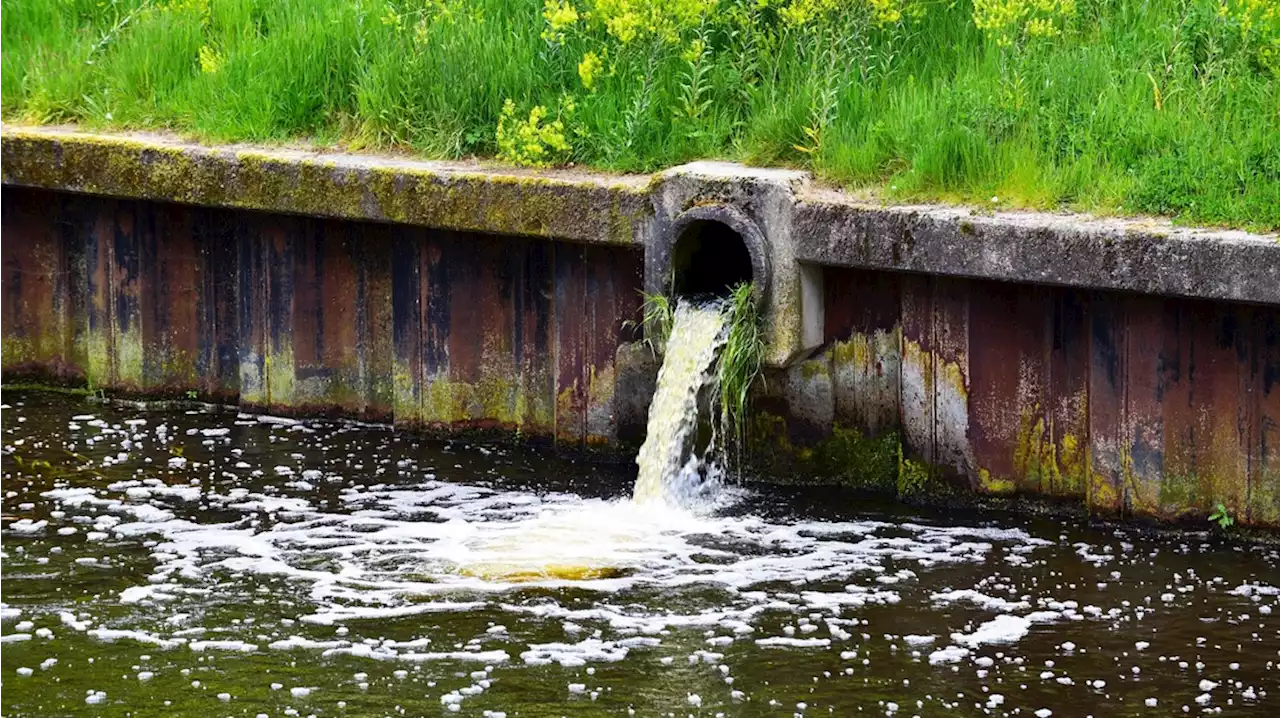 Maximale watertoevoer uit IJsselmeer vanwege droogte Veenkoloniën